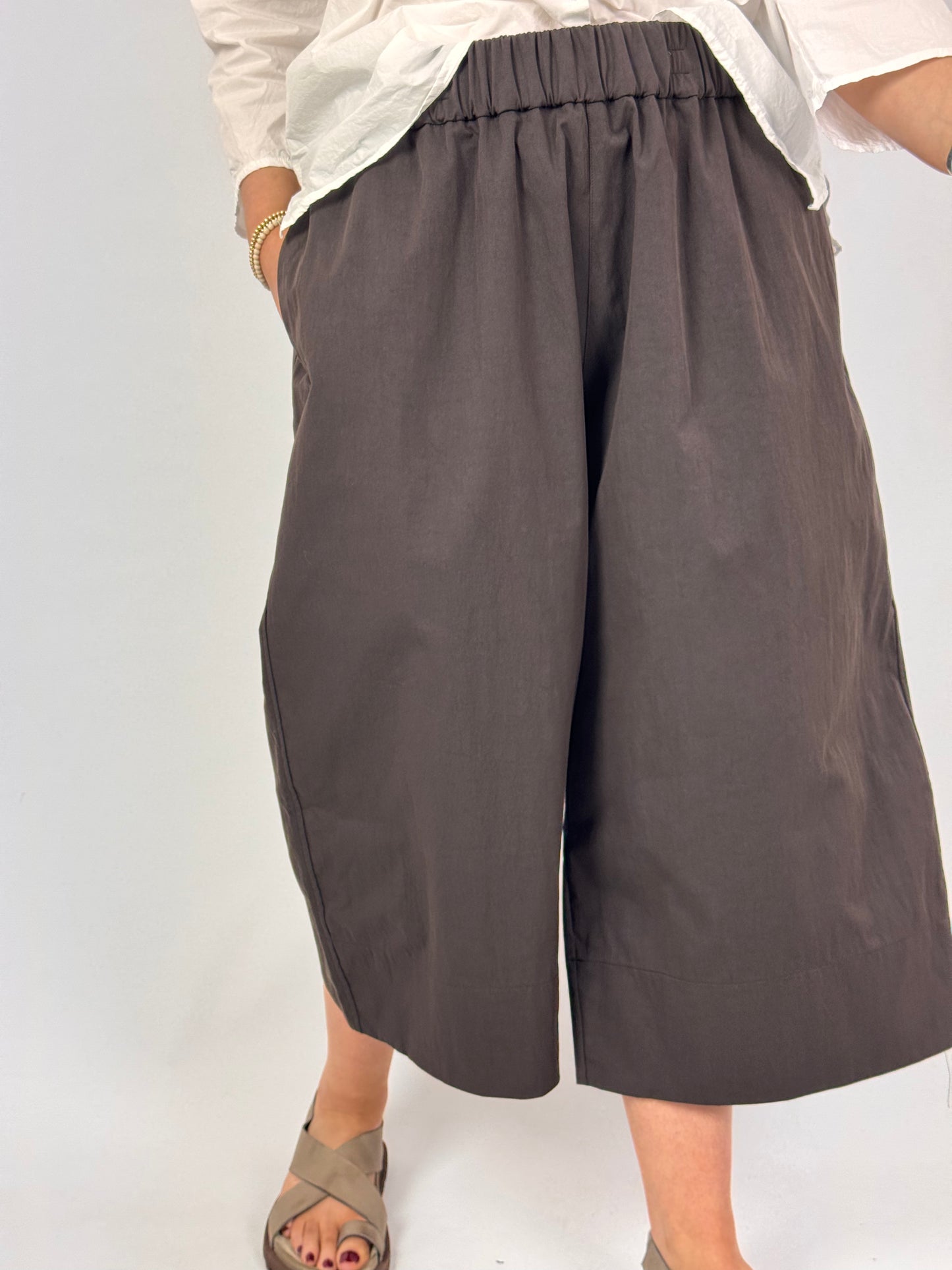 Album Di Famiglia 255 WG Wide Trousers Brown