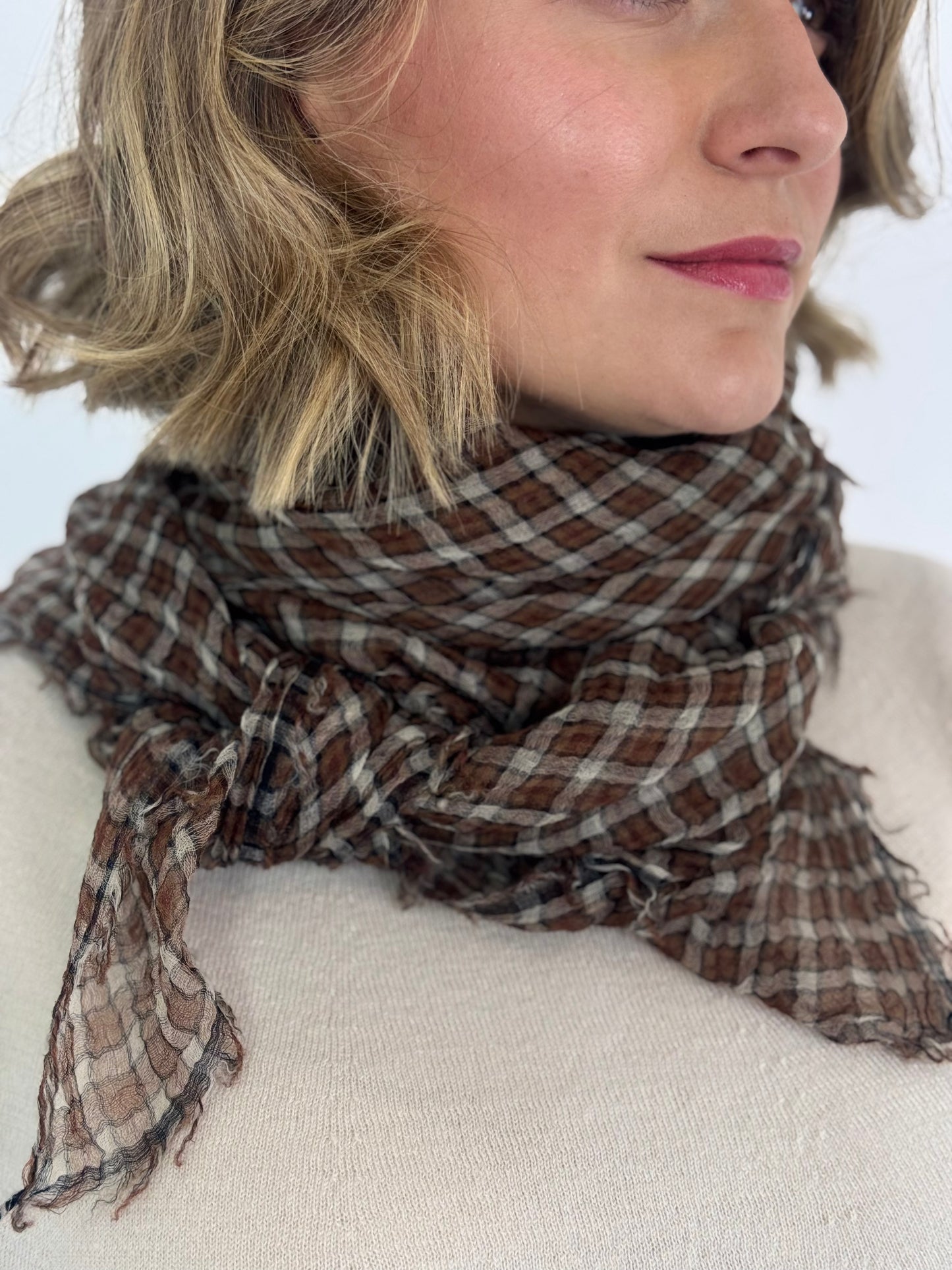 Pas de Calais 0601 Check Scarf Brown