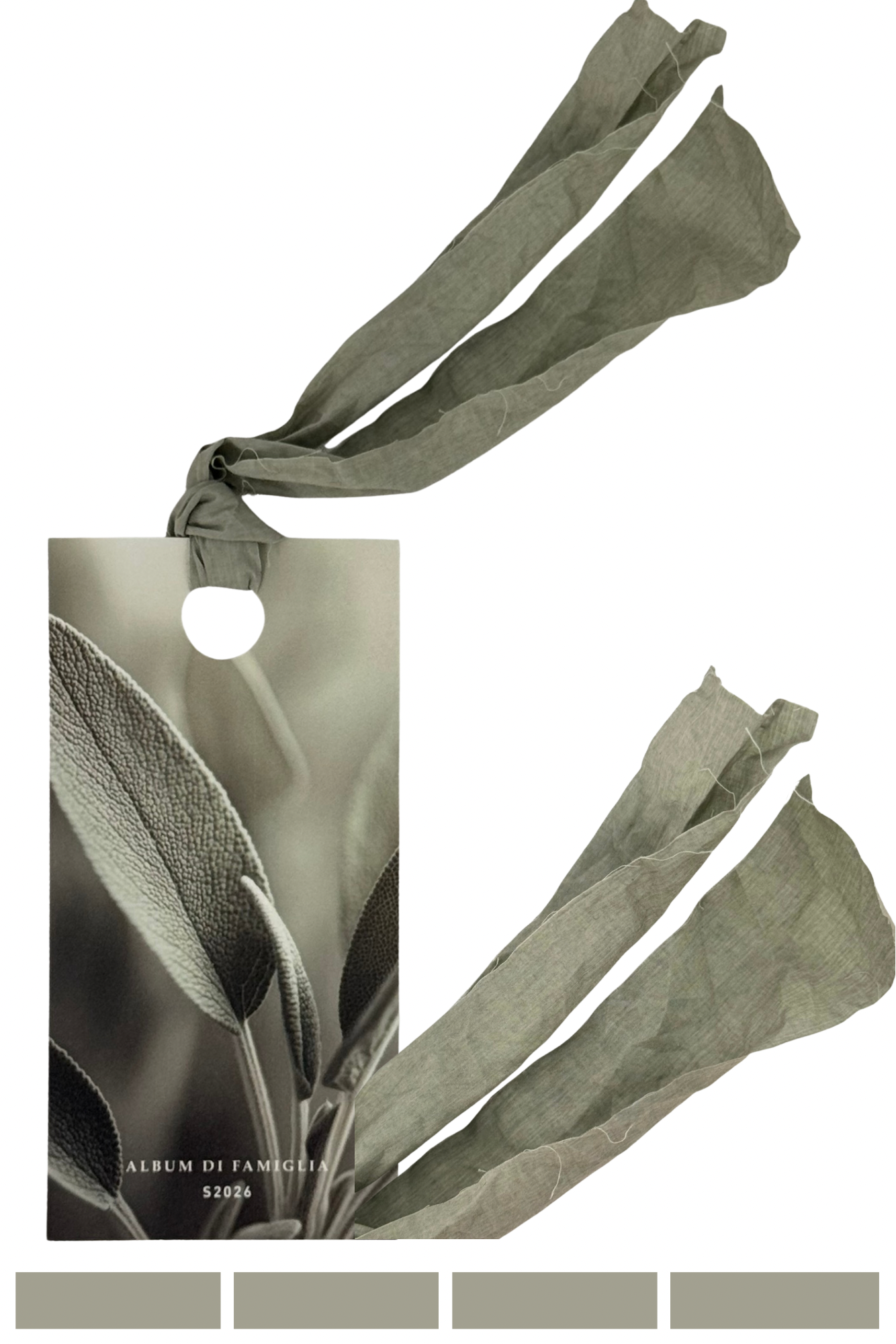 Album Di Famiglia 152 CC Button Back Blouse Sage PRE-ORDER